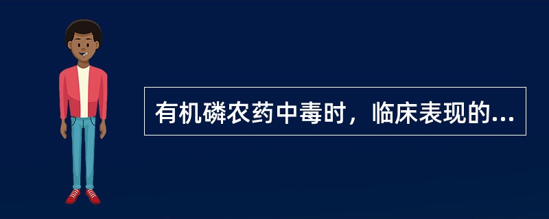 有机磷农药中毒时，临床表现的毒蕈碱样症状包括（）