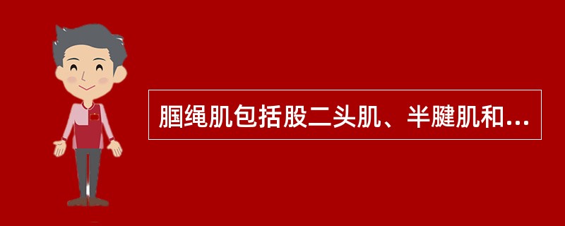 腘绳肌包括股二头肌、半腱肌和半膜肌，主要起屈膝伸髋的作用