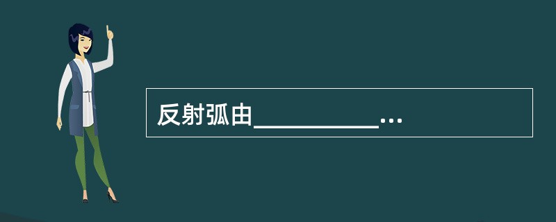 反射弧由__________、____________、__________、_