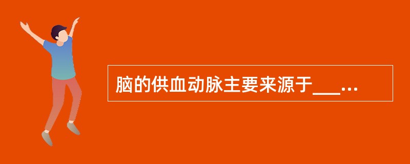 脑的供血动脉主要来源于___________和_______________，脊