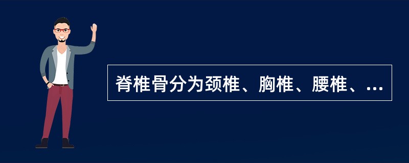 脊椎骨分为颈椎、胸椎、腰椎、骶椎和尾椎，其中颈椎有8块，胸椎12块、腰椎5块、骶