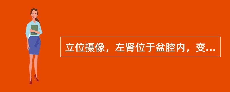 立位摄像，左肾位于盆腔内，变换体位，只有上下方向，没有左右方向的移位，左输尿管迂