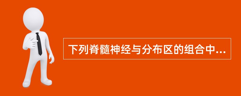 下列脊髓神经与分布区的组合中，哪项正确（）