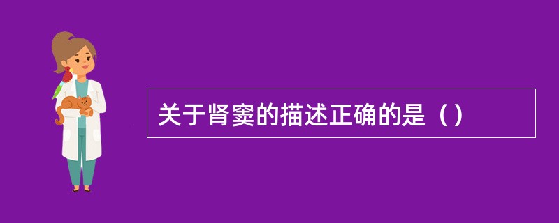 关于肾窦的描述正确的是（）
