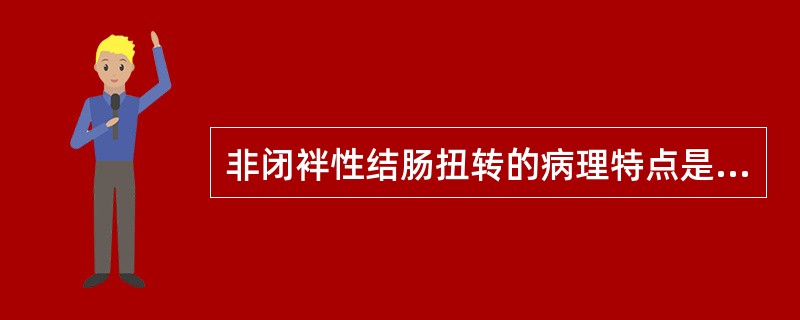 非闭袢性结肠扭转的病理特点是（）