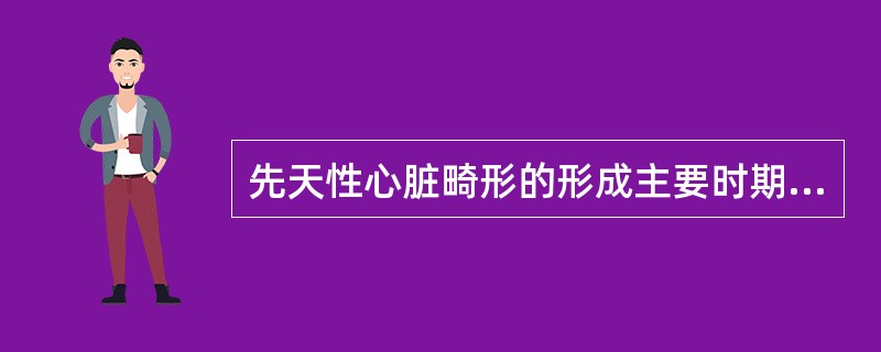 先天性心脏畸形的形成主要时期是（）