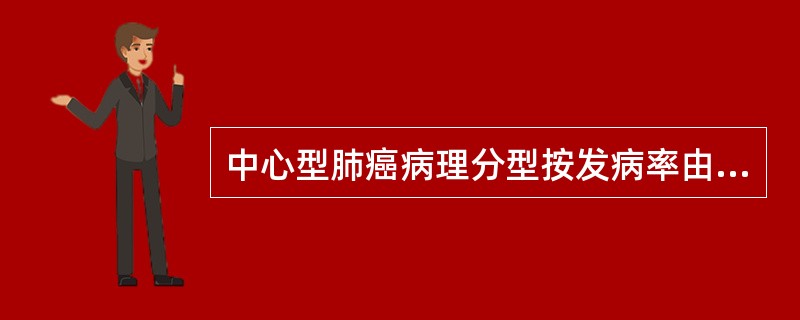 中心型肺癌病理分型按发病率由多到少排列，正确的是（）