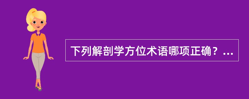 下列解剖学方位术语哪项正确？（）