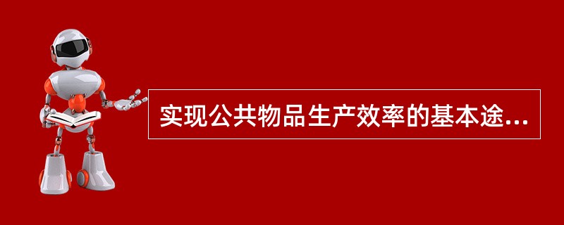 实现公共物品生产效率的基本途径是（）。