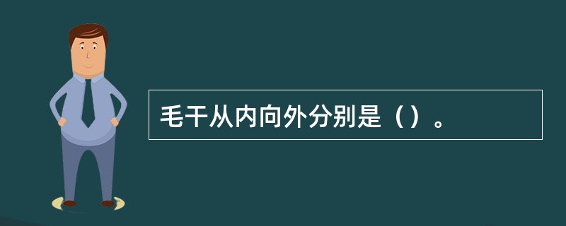 毛干从内向外分别是（）。