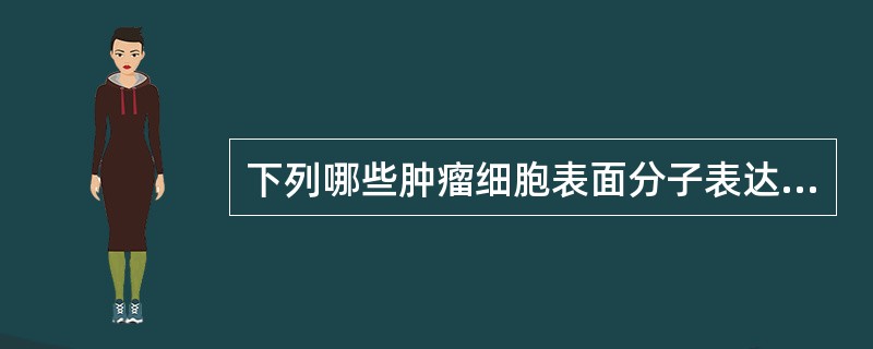 下列哪些肿瘤细胞表面分子表达降低可使其逃避机体免疫监视()