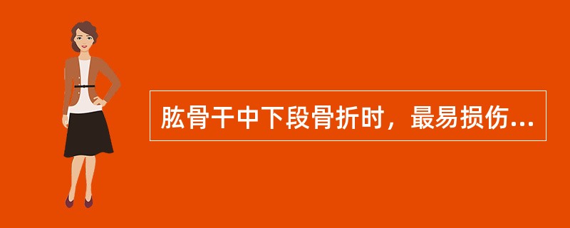 肱骨干中下段骨折时，最易损伤的神经是（）。