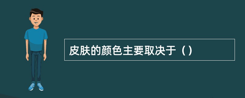 皮肤的颜色主要取决于（）