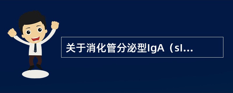 关于消化管分泌型IgA（sIgA）的产生和释放，错误的是（）