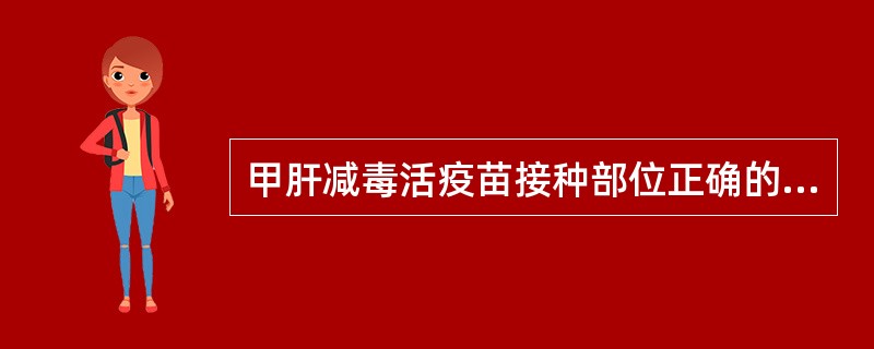 甲肝减毒活疫苗接种部位正确的是（）。