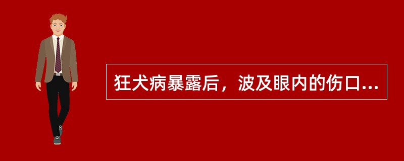 狂犬病暴露后，波及眼内的伤口处理正确的为（）。