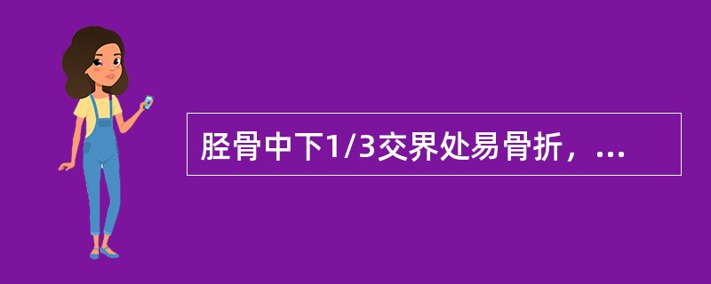 胫骨中下1/3交界处易骨折，其主要原因是（）