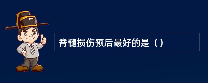 脊髓损伤预后最好的是（）