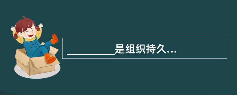 _________是组织持久和本质的原则。