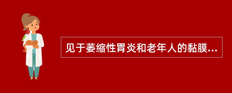 见于萎缩性胃炎和老年人的黏膜变化为（）