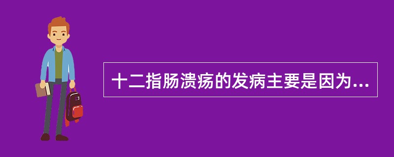 十二指肠溃疡的发病主要是因为（）