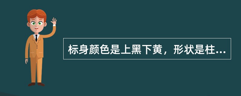 标身颜色是上黑下黄，形状是柱形，顶标是（），此标为▲。