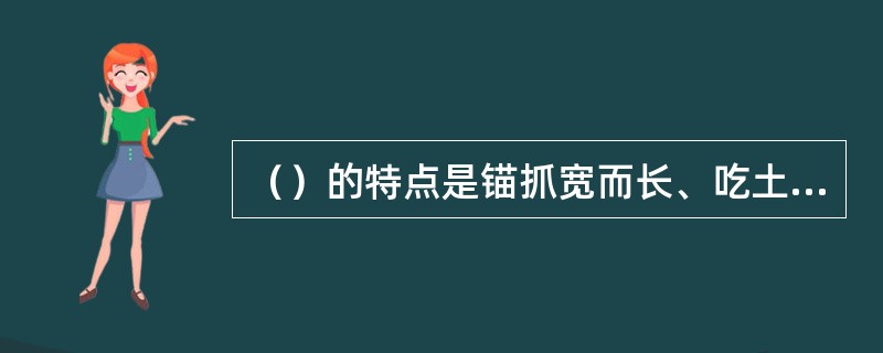 （）的特点是锚抓宽而长、吃土深、稳定性好，抓重比一般为6。