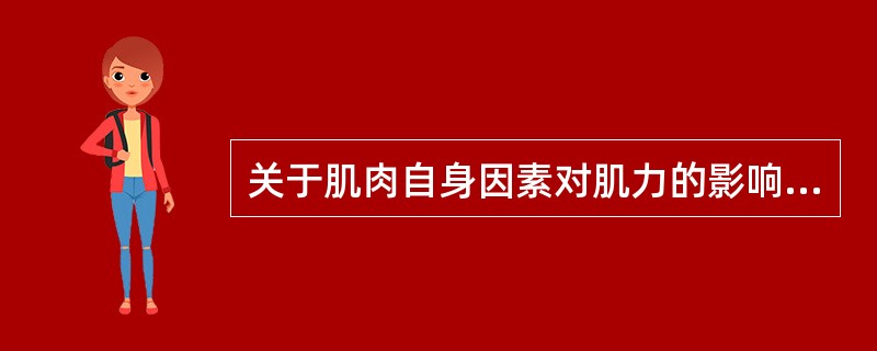 关于肌肉自身因素对肌力的影响不正确的是（）。