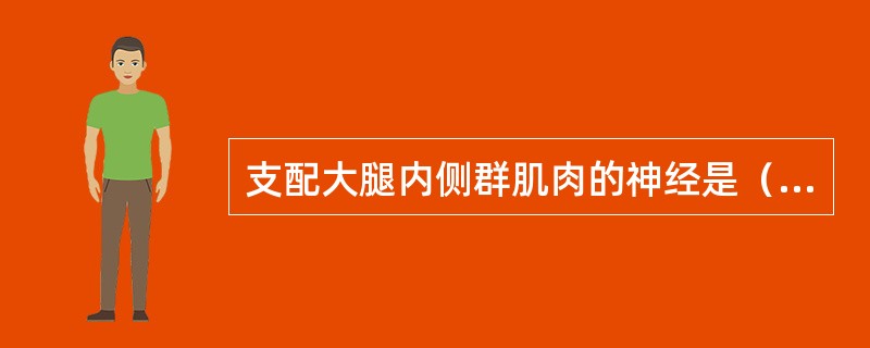 支配大腿内侧群肌肉的神经是（）。