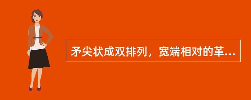 矛尖状成双排列，宽端相对的革兰阳性球菌最可能为（）。