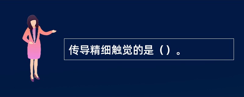 传导精细触觉的是（）。