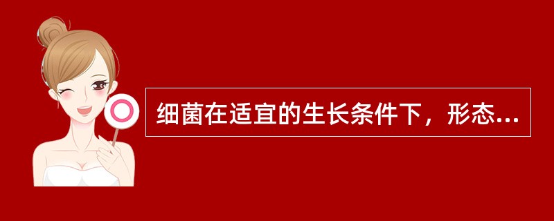 细菌在适宜的生长条件下，形态比较典型需培养（）。