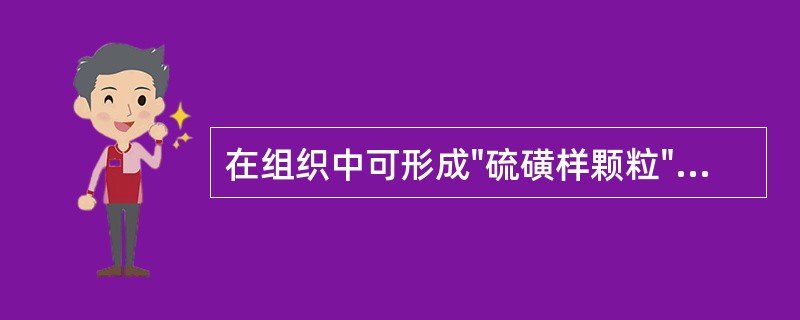 在组织中可形成"硫磺样颗粒"状菌落的微生物是（）