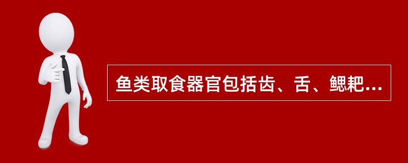 鱼类取食器官包括齿、舌、鳃耙等，位于（）。