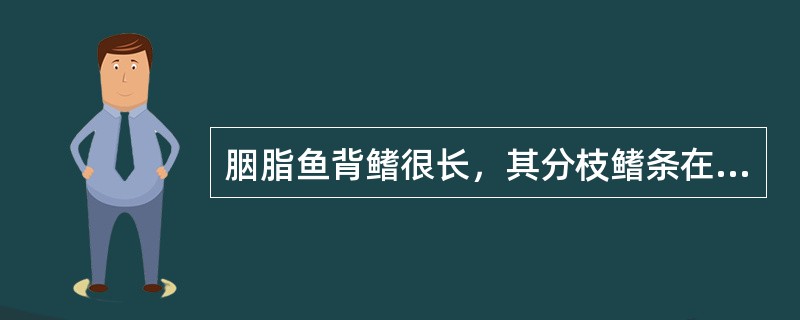 胭脂鱼背鳍很长，其分枝鳍条在50枚以上。