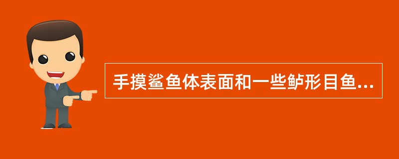 手摸鲨鱼体表面和一些鲈形目鱼类的鳞片时有粗糙感觉，是因为前者为（），后者为栉鳞有