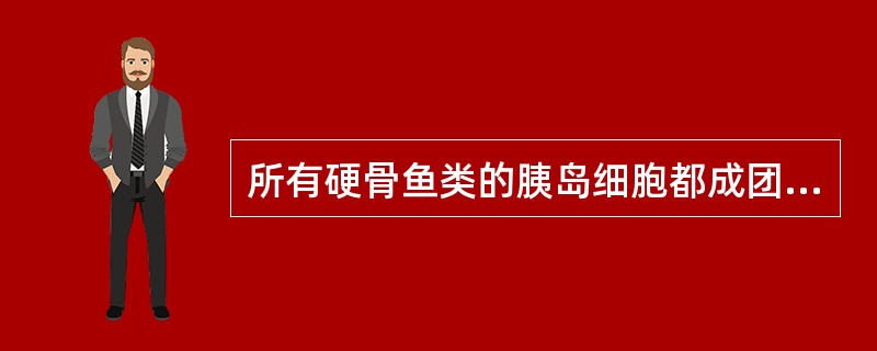 所有硬骨鱼类的胰岛细胞都成团地分散在胰脏组织中。