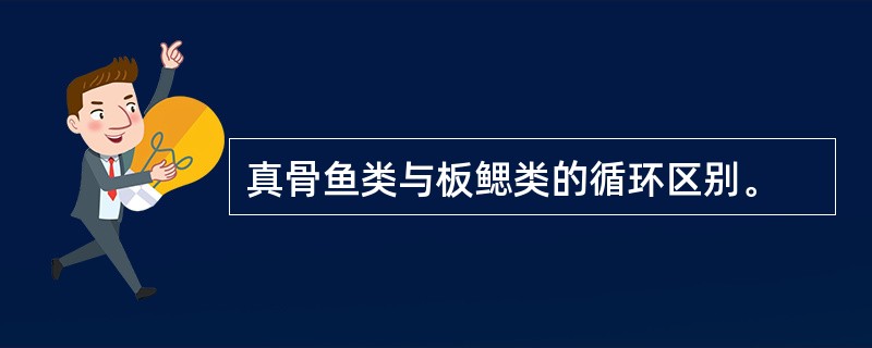 真骨鱼类与板鳃类的循环区别。