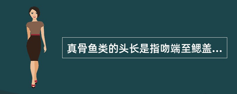 真骨鱼类的头长是指吻端至鳃盖骨后缘的直线长度。