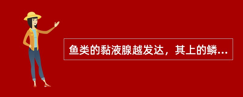 鱼类的黏液腺越发达，其上的鳞片就越少，越小。