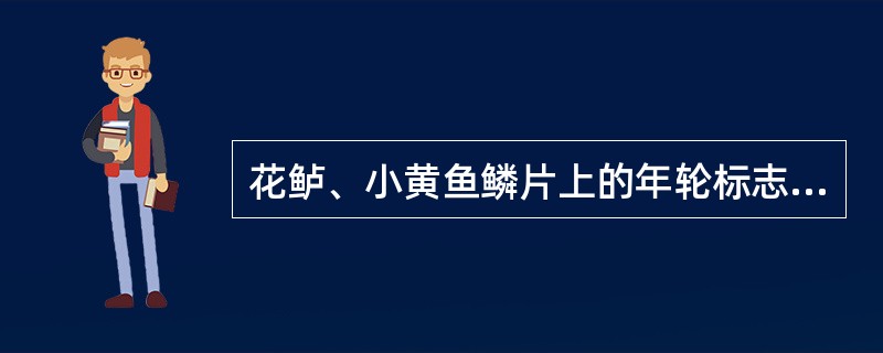 花鲈、小黄鱼鳞片上的年轮标志是（）