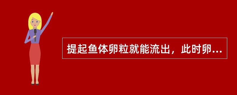 提起鱼体卵粒就能流出，此时卵巢发育处于（）期