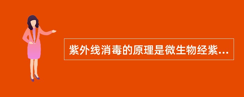 紫外线消毒的原理是微生物经紫外线照射后，微生物的蛋白质和核酸吸收紫外线光谱能量，