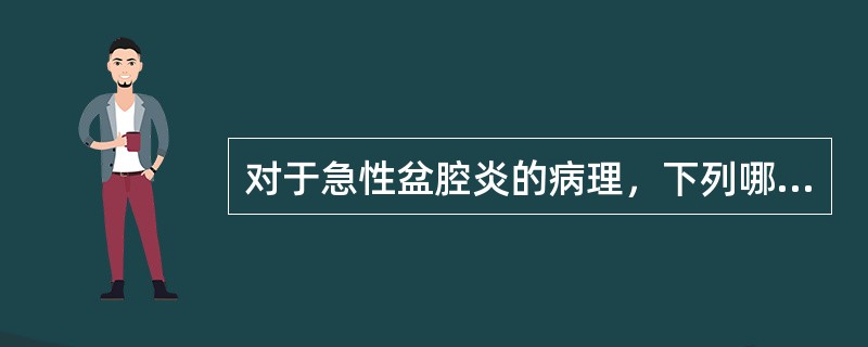 对于急性盆腔炎的病理，下列哪些恰当（）