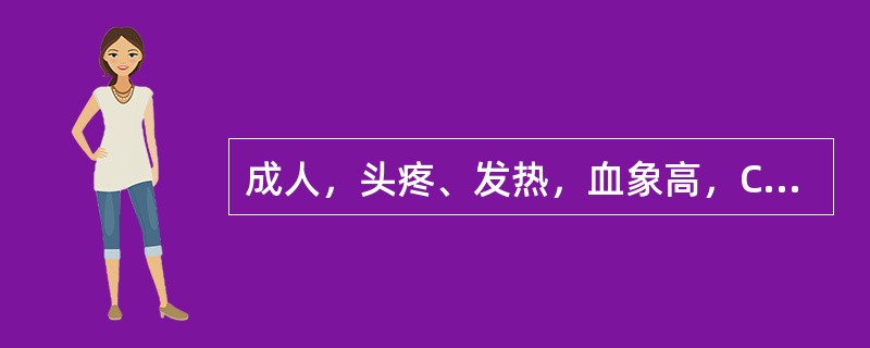 成人，头疼、发热，血象高，CT检查如图，最可能的诊断是（）