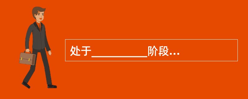 处于__________阶段的教师，最担心的问题是：“学生喜欢我吗?”、“同事如