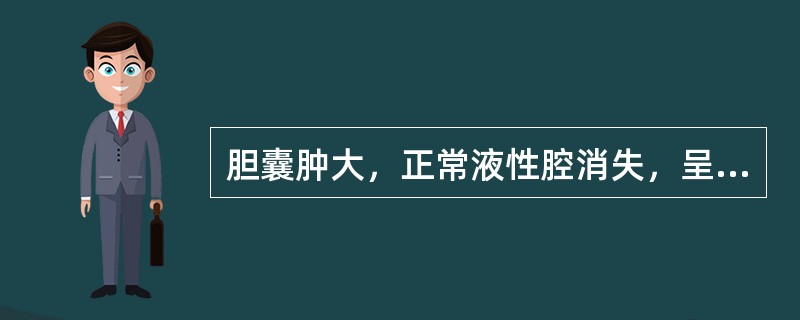 胆囊肿大，正常液性腔消失，呈现为一低回声团，不随体位改变而移动，CDFI可见血供