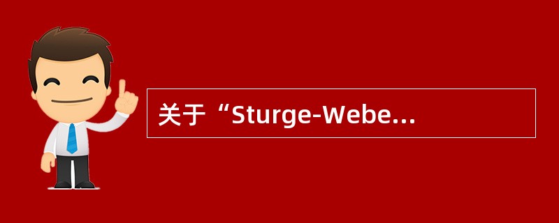 关于“Sturge-Weber综合征”，下列CT影像哪项错误（）