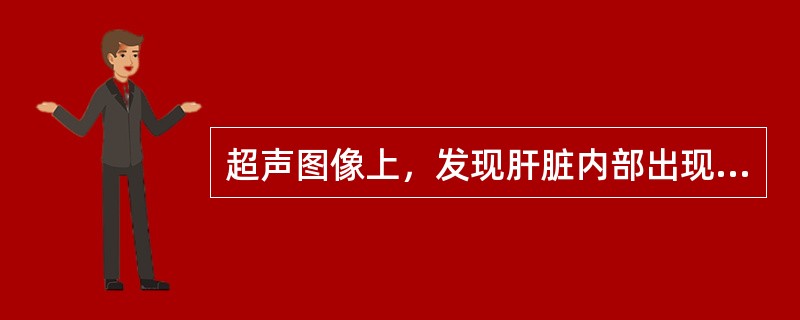 超声图像上，发现肝脏内部出现一个高回声团，境界清，边界不大规则，内部回声不均匀，