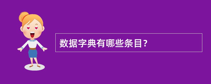 数据字典有哪些条目？